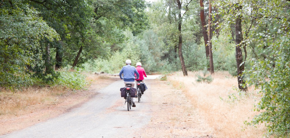 Fietsen in het bos.jpg