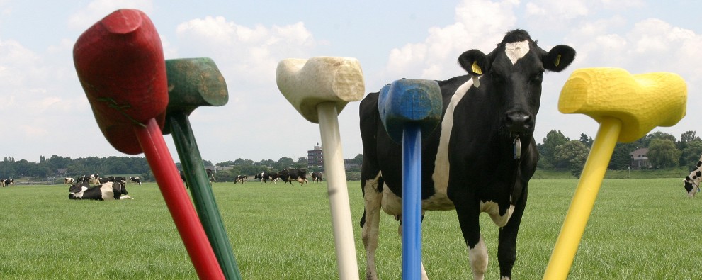 Parkhoeve de Middelt-Boerengolf.jpg