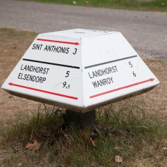 Paddenstoel Sint Anthonis