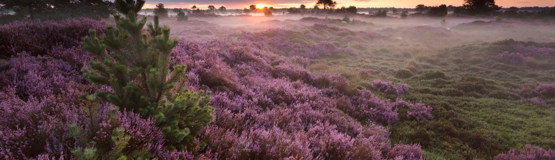 Voorkant Brochure.jpg