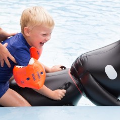 Lol in het peuterbad2