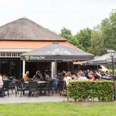 Terras Heksenboom