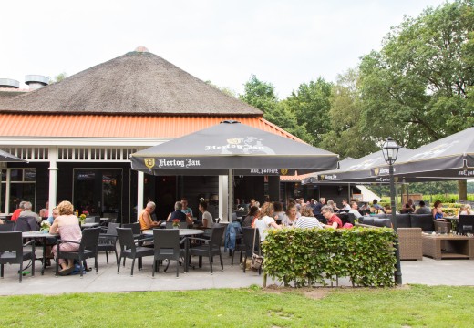 Terras Heksenboom