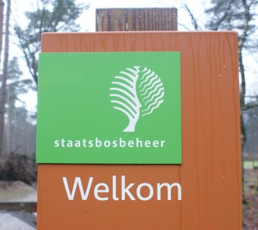 Saatsbosbeheer