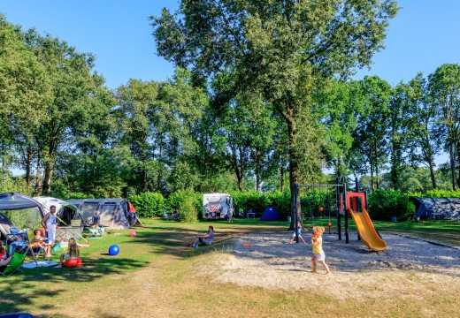 RUB9190723-1355.jpg RUB9190723-1355.jpg