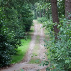 Omgeving de Ullingse Bergen 8