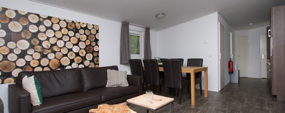 Woonkamer chalet met overdekt terras