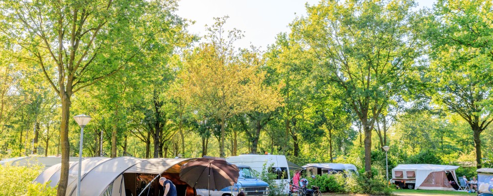 Ullingse Bergen Camping Noord Brabant kamperen