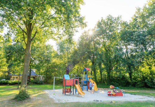 RUB9190723-1475.jpg RUB9190723-1475.jpg