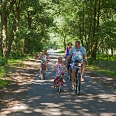 Fietsen in Staatsbossen De Ullingse Bergen