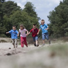 Omgeving De Ullingse Bergen 5