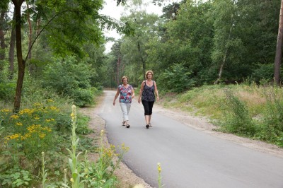 Wandelaars De Ullingse Bergen.jpg