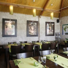 Heksenboom no.03 middel