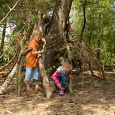 Boomhut De Ullingse Bergen Staatsbossen