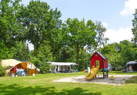 _DSC7204.JPG _DSC7204.JPG