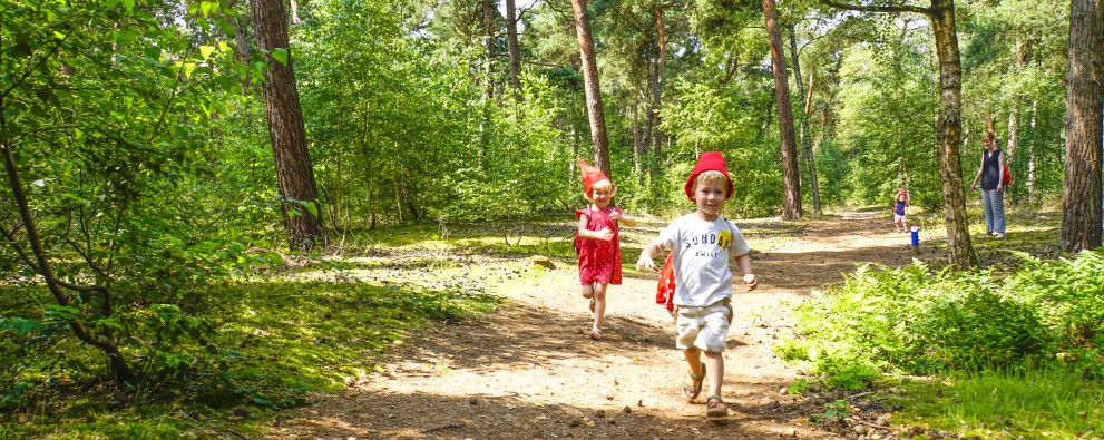 Kabouterpad ullingse bergen