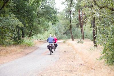Fietsen in het bos.jpg