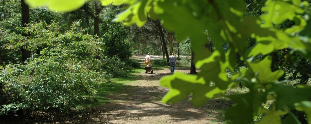 Foto Omgeving.JPG