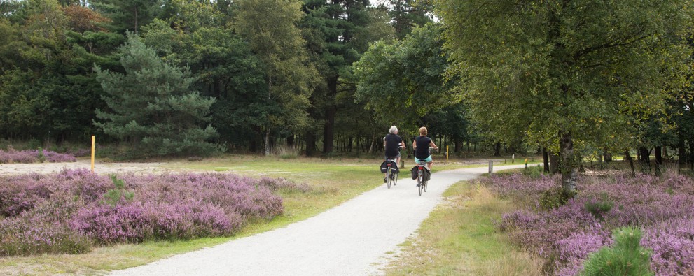 Fietsen op de hei.jpg