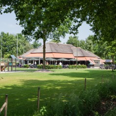 Heksenboom met ruime (speel)tuin