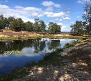 Vijver Staatsbossen