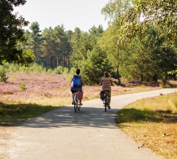 Fietsen streek Brabant.jpg