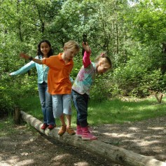 Omgeving De Ullingse Bergen 1