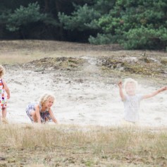 Omgeving De Ullingse Bergen 7
