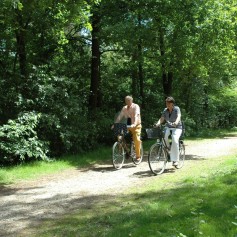 Fietsen De Ullingse Bergen 2