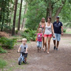 Heerlijk wandelen