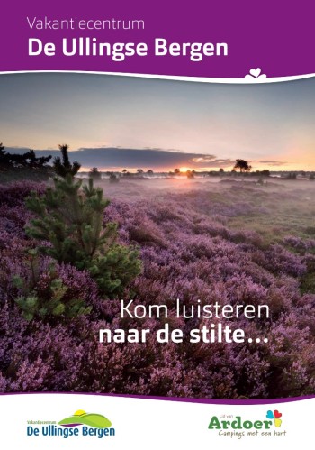 UB Brochure