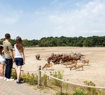 hr-wandelsafari-006.jpg