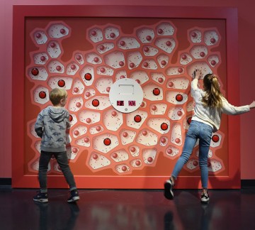Discovery Museum 4