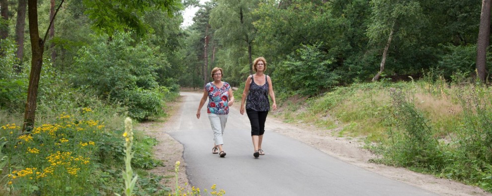 Wandelaars De Ullingse Bergen.jpg