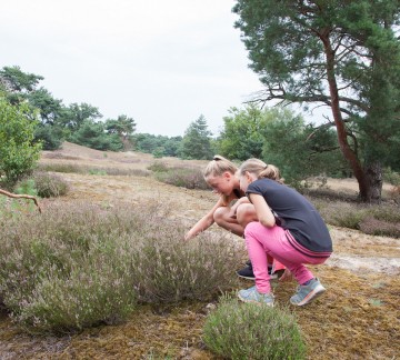 Speuren in de natuur
