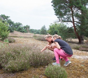Speuren in de natuur